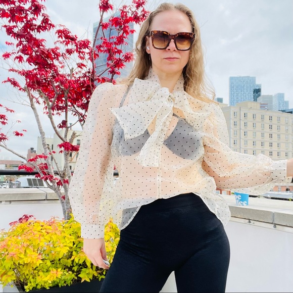 COPY - Transparent Polka Dot Puff Sleeve Shirt Bishop Statement Sleeves Neck Bow - Picture 9 of 16